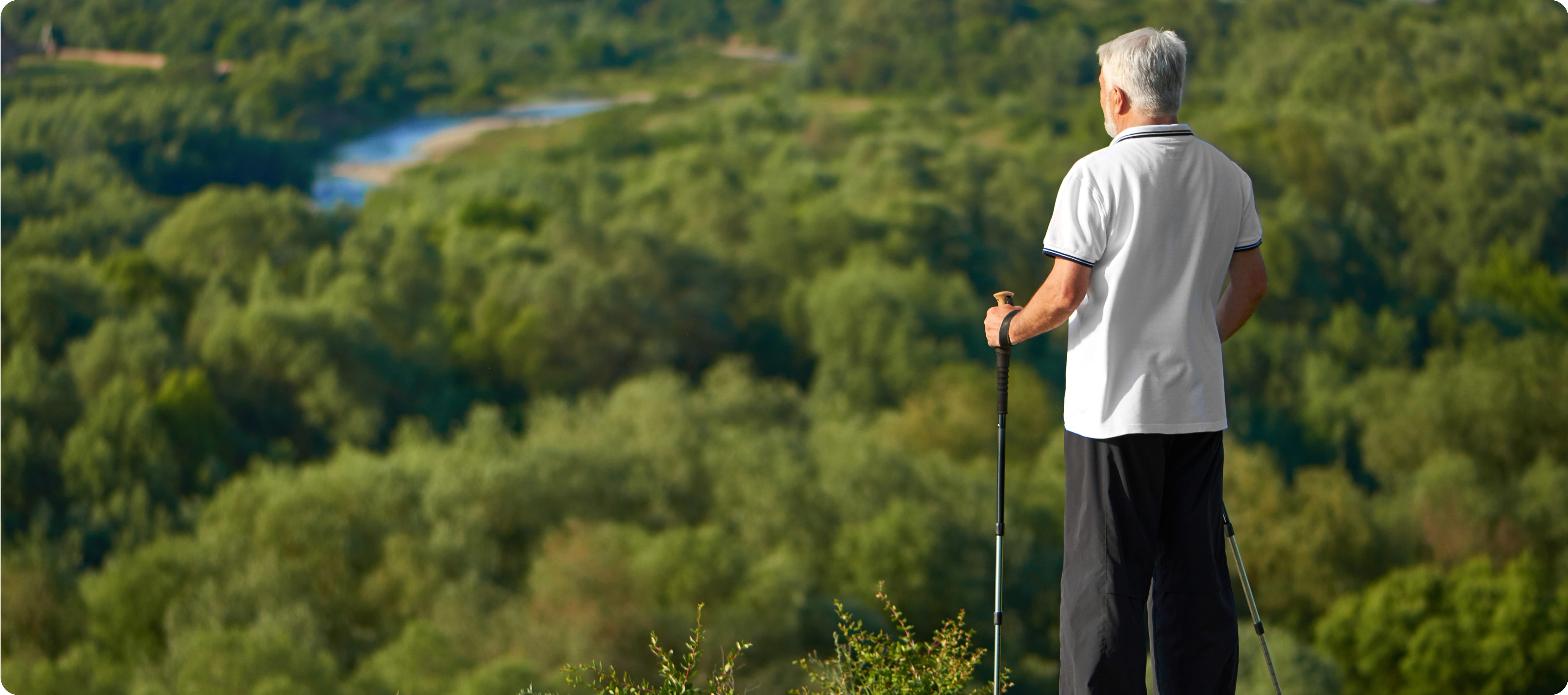 Building strong bones